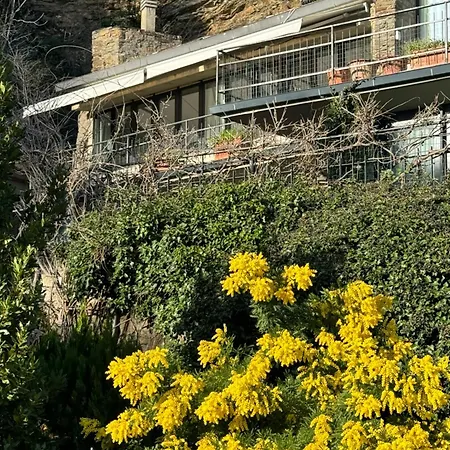 Lägenhet Rock Florens